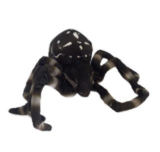 Obrázek z Pavouk černý plyš 19cm (150) 